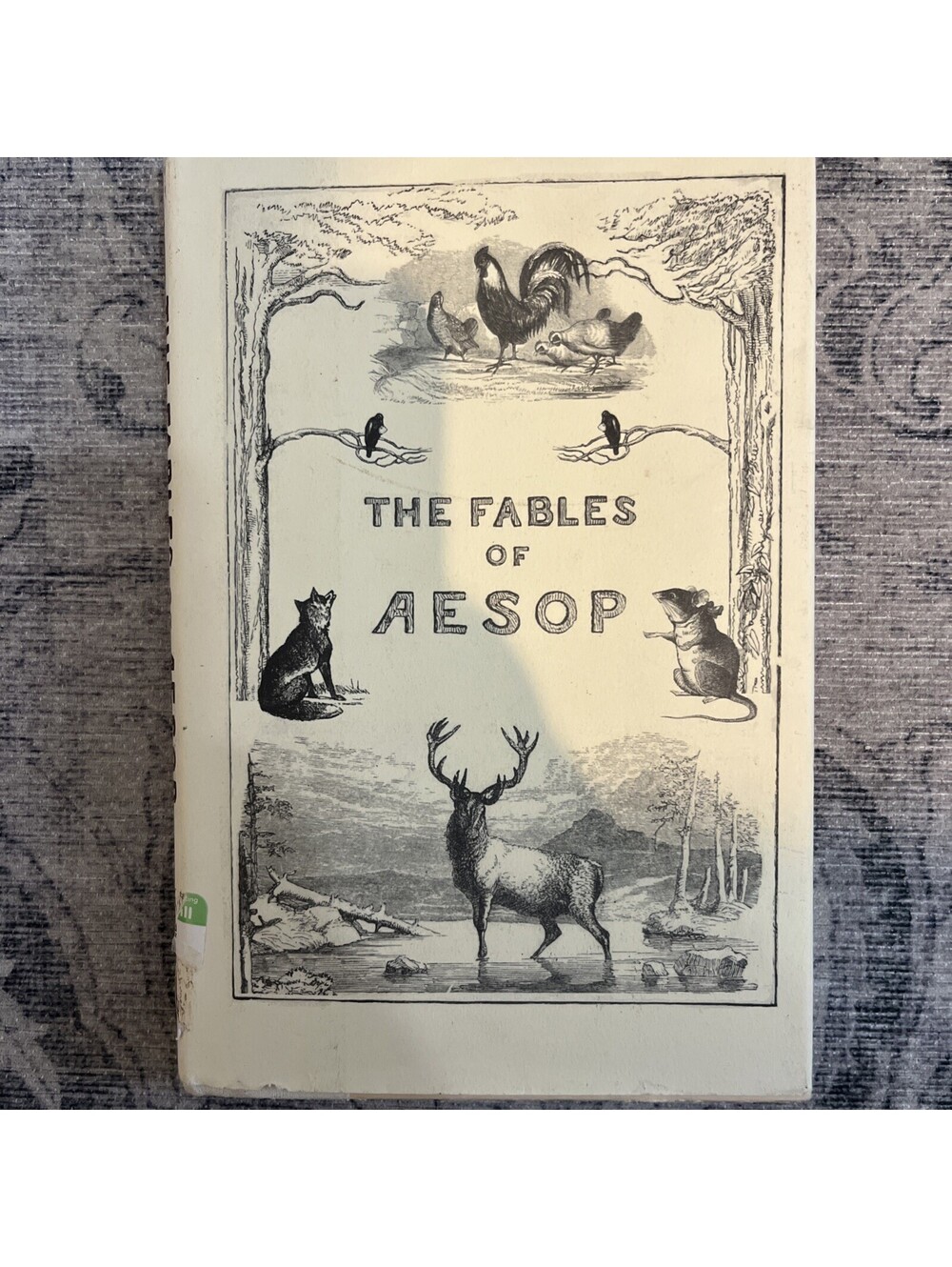 The Fables of Aesop 1995 HC/DJ Illustrated Tear In Jacket